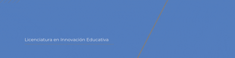 DISEÑO INSTRUCCIONAL DE CURSOS A DISTANCIA Y/O EN LINEA B